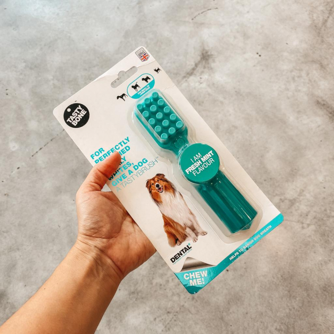 Brinquedo para cão - TASTYBRUSH